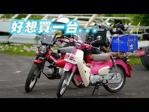 【日常】亂入國民車大會師｜看完也想買一台是對的嗎?｜原本只是要跑BOL 10｜國民車價位其實也不國民XD｜Super Cub