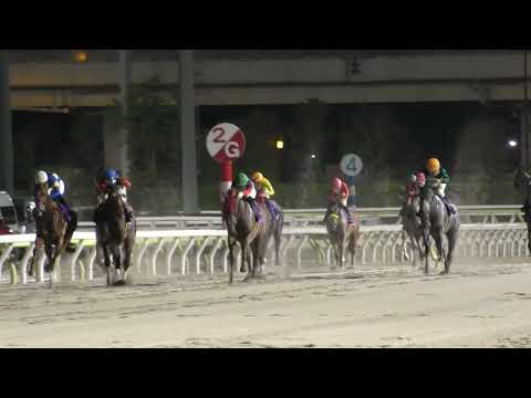 南関東3歳牝馬の三冠競走第2戦、第38回東京プリンセス賞（Sl 大井1800m）は単勝6番人気の大井⑥フェルディナンド（父ヘニーヒューズ）が追い比べ制し重賞初V！父ヘニーヒューズは連夜の3歳重賞制覇🎊