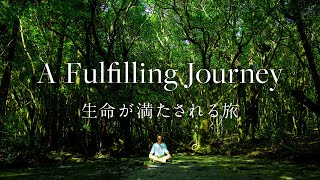 [屋久島 | Yakushima] A Fulfilling Journey | 生命が満たされる旅 [Documentary] [4K]