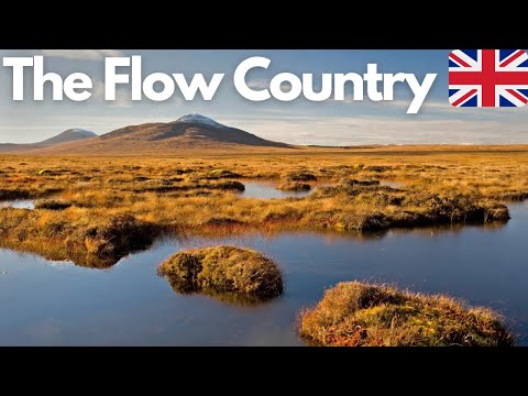 Exploring The Flow Country: UK's Hidden Gem