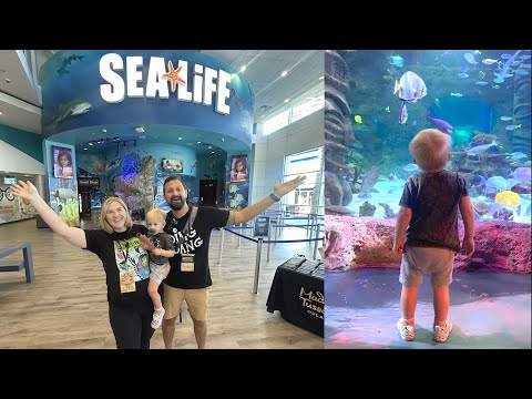 His First Time At The Aquarium & SEA LIFE Orlando Halloween Fun! Pirates, Candy & Fun Facts!