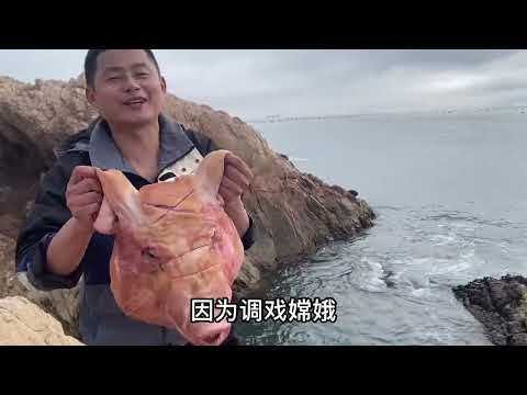 【阿向趕海】天蓬元帥打窩 引來巨鱸現身 鯊魚出沒，漁貨重達50斤大賣3000元[Ā xiàng gǎnhǎi] tiān péng yuán