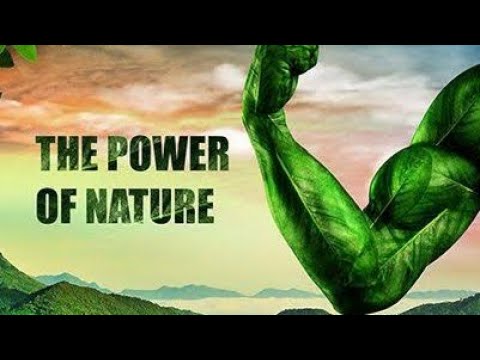 The Power Of Nature