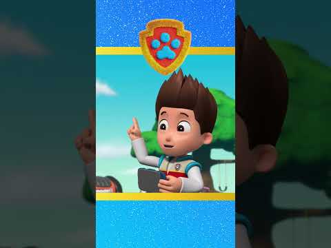 PAW Patrol | Ryder ruft die PAW-Patrol-Welpen in den Wachturm! | Nick Jr. Deutschland