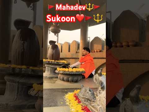 Har Har Mahadev 🚩🔱🙏#ujjain #mahakumbh2025 #mahadev #ujjainmahakal #viralvideo #shorts #mahakal