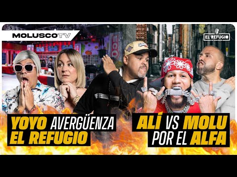 El Alfa cancela gira y ALI no le cree: Molusco lo enfrenta/ Yoyo hace papelon en TV nacional