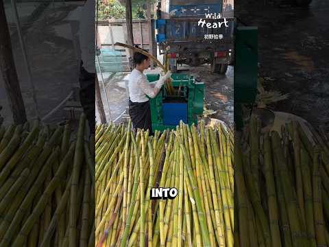 Processing Brown Sugar Blocks