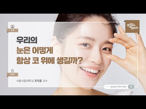 24.06.14 금요일에 과학터치(대구지역) - 우리의 눈은 어떻게 항상 코 위에 생길까?