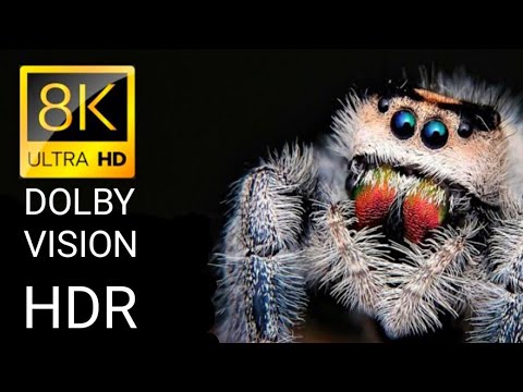 Color Burst HDR Dolby Vision 8K 60FPS / 8K HDR 60fps Dolby Vision / amazing world of dolby vision