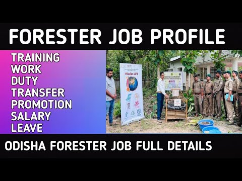 forester job profile!! odisha forester job profile duty!! promotion!!salary!!duty!!myodiaupdates