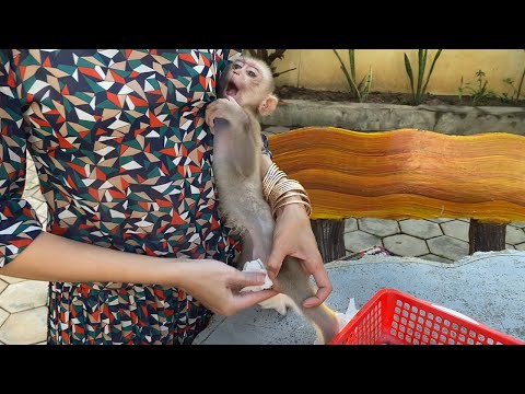 Cute Little Boy Stands for Mom wearing a new diaper, Look Is Very Cute