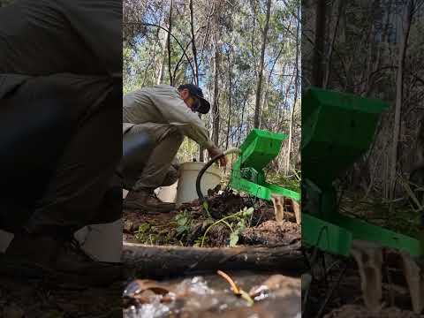 Crushing Rocks to Get Sparkly Gold ✨️ #Crushing #crush #rocks #gold #sluice #panning