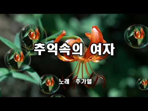 추가열 ~ 추억속의 여자