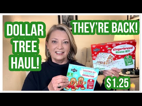 DOLLAR TREE HAUL | They’re Back | $1.25 | FANTASTIC FINDS | LOVE THE DT😁 #haul #dollartree