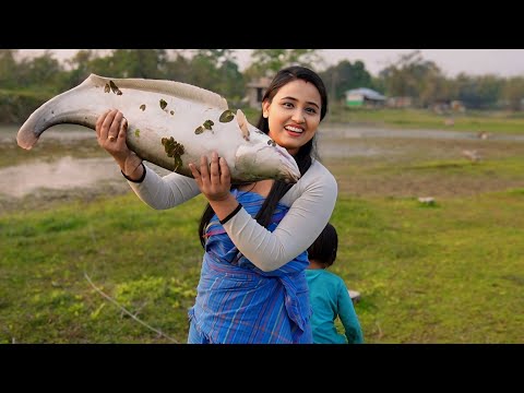 Catching Big Fish | Net fishing Chitala Knifefish | Fish Recipes |