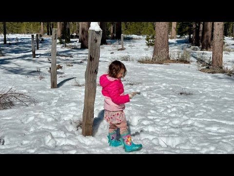 Playing in the snow and Trying to build a Snowman