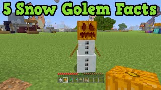 Minecraft - 5 Things You Didn't Know About Snow Golems