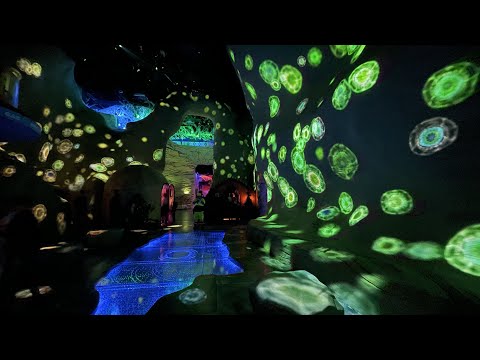 🔴 Live from the Grand Opening of Omega Mart by Meow Wolf in Las Vegas - Part 4 of 4