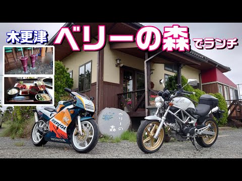 【#131】木更津ランチツーリング！「ベリーの森」で絶品の「和牛焼肉定食」と「完熟ブルーベリージュース」をいただいてきました！【VTR＆NSR】