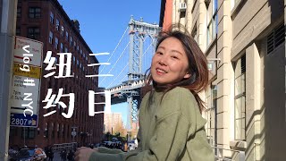 vlog#纽约三日 - 纽约新地标Vassel | 如何不花钱逛MOMA | 网红打卡地Dumbo | 布鲁克林大桥很适合拍照 | 川山甲太好吃了 | 奥莱购物