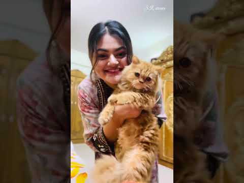 মায়েদের হাতের রান্নার কোন তুলনা হয় না✨😍 #videoviral #srstories #dailyvlog