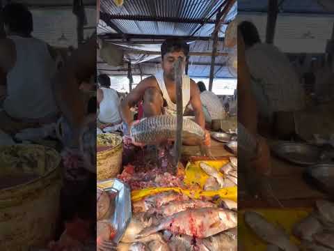 Fish Cutting 🐠#shorts #ytshorts #streetfood #seafood #fish #fishcutting