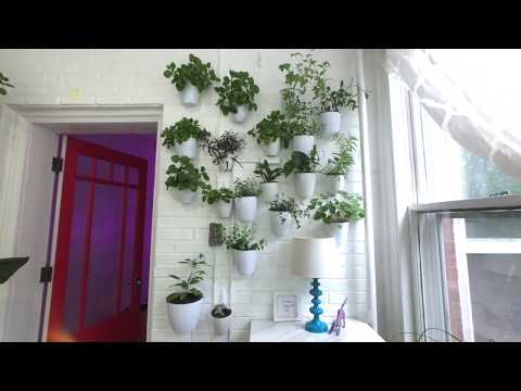 Best Indoor Wall Planters