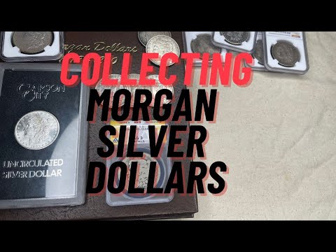 ❗️MORGAN SILVER DOLLARS❗️ A Painful journey to collecting them all❗️