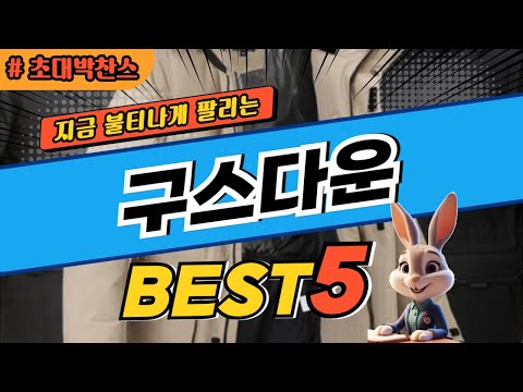 2025 초대박 찬스 구스다운 추천 대박 가성비 베스트5! 후기 비교