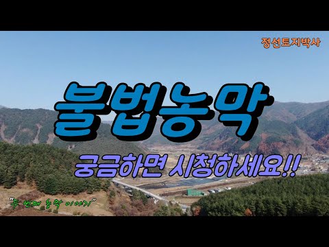 불법농막  궁금하시면 시청하세요!! / 정선토지박사