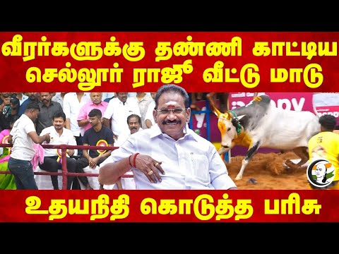 வீரர்களுக்கு தண்ணி காட்டிய Sellur Raju வீட்டு மாடு | Alanga Nallur Jallikattu | ADMK | Udhayanidhi