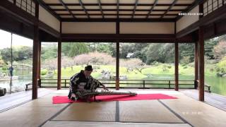 筝曲 「さくら」箏独奏による主題と六つの変奏  木村園代 Japanese koto