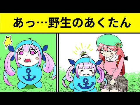 【手描き】野生のあてぃしが現れた！【さくらみこ/湊あくあ】【切り抜き漫画】