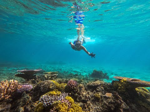 Just right under the water 😱 Fiji is on another level 😍😍