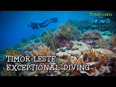 Best Scuba Diving Destination You’ve Never Heard Of [4K] | Timor-Leste from Below (S01E01) |  SZtv