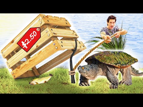 Cheap Vs Expensive SNAPPING TURTLE Trapping!