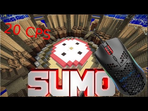 DESTROYING KIDS IN SUMO ON PVP.LAND (Sumo AMSR)