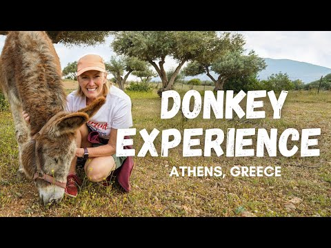 ATHENS THINGS TO DO | Donkey Trekking | Retirement Travel Vlog #81