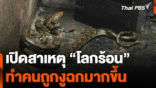 เปิดสาเหตุ "โลกร้อน" ทำคนถูกงูฉกมากขึ้น | จับตารอบทิศ | 1 ต.ค. 67