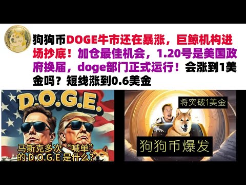 狗狗币DOGE牛市还在暴涨，巨鲸机构进场抄底！加仓最佳机会，1.20号是美国政府换届，doge部门正式运行！马斯克继续喊单DOGE，短线涨到0.6美金#DOGE币#马斯克狗狗币#DOGE行情分析