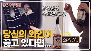 [구삼줍생#이벤트]여름에 와인셀러가 꼭 필요한 이유?🔍ㅣ무선이어폰보다 저렴! 놀라운 가격의 보보스 미니 와인셀러 후기ㅣ신혼가전 리뷰