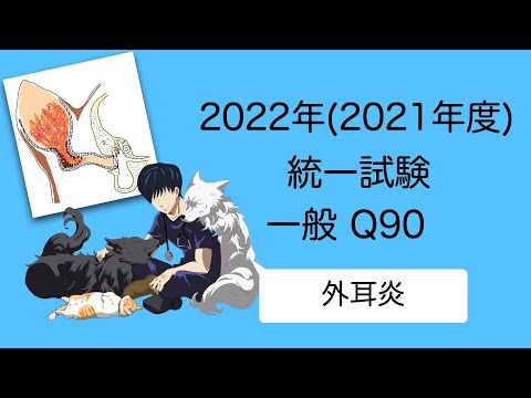 2022一般Q90『外耳炎』 愛玩動物看護師国家試験対策