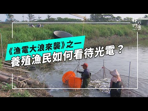 漁電大浪來襲｜系列一：養殖的變局 漁民的不安(我們的島 第1277集 2024-10-14)