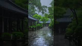 自然静谧下雨声冥想安眠：下雨声助眠，宁静之音，迎接快速入眠，深度睡眠#BGM #shorts #sleepmusic #shortvideo #rainsounds #rain #sleep