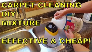 The WORLD'S BEST DIY Carpet Cleaning Solution Mixture (EFFECTIVE & CHEAP!)