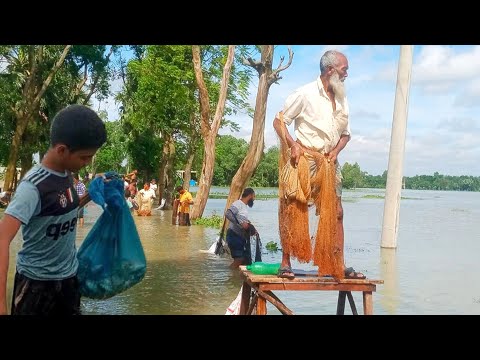 বন্যায় রাস্তায় মাছ ধরার ভিডিও | cast net fishing videos | catching lot of fish by netting video