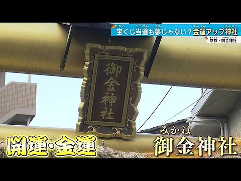 【kyoto】10億円当たった⁉金運・運気もアップ？御金神社