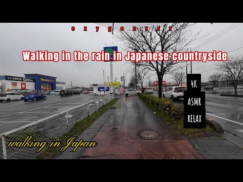 Walking in the rain in Japanese countryside - Journeys in Japan #39