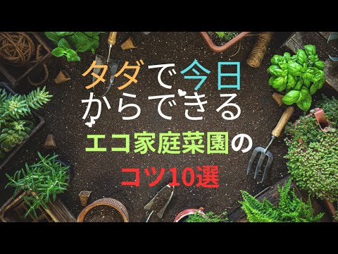 家庭にあるゴミを活用してタダでできるエコ家庭菜園のコツ10選