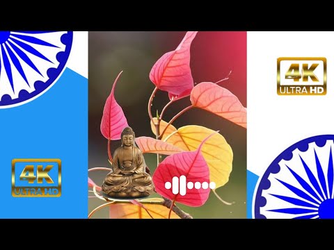 Buddham Sharanam Gacchami Ringtone And  whatsapp status jay bhim status